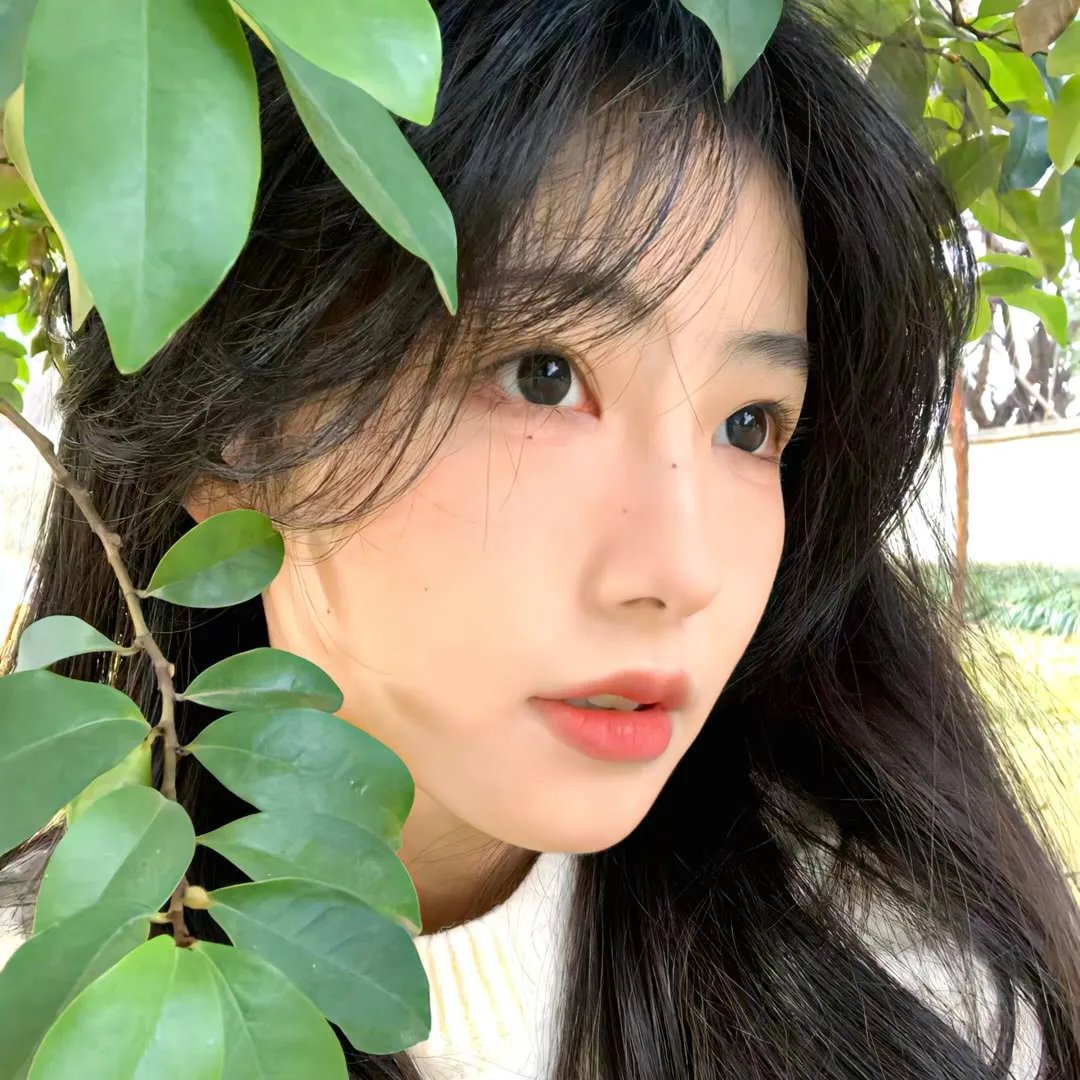 爱神的黑白羽翼